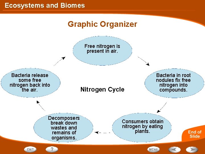 Ecosystems and Biomes Graphic Organizer Free nitrogen is present in air. Bacteria release some