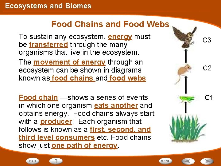 Ecosystems and Biomes Food Chains and Food Webs To sustain any ecosystem, energy must