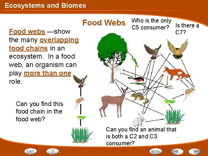 Ecosystems and Biomes Food Webs Food webs —show the many overlapping food chains in