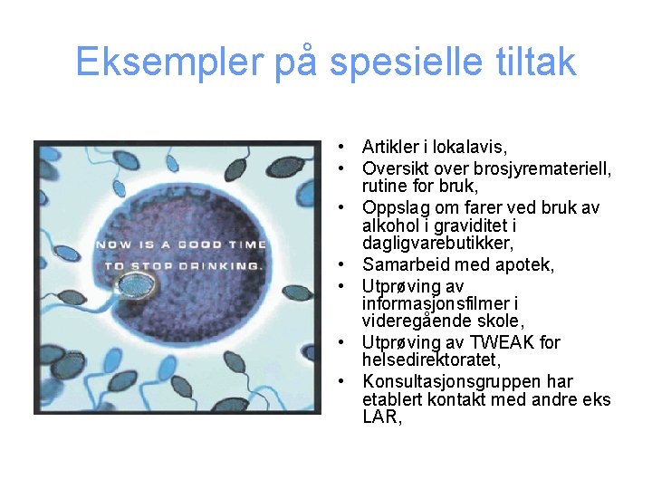 Eksempler på spesielle tiltak • Artikler i lokalavis, • Oversikt over brosjyremateriell, rutine for