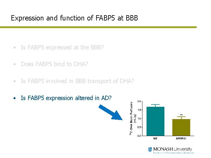 Expression and function of FABP 5 at BBB • Is FABP 5 expressed at Expression and function of FABP 5 at BBB • Is FABP 5 expressed at