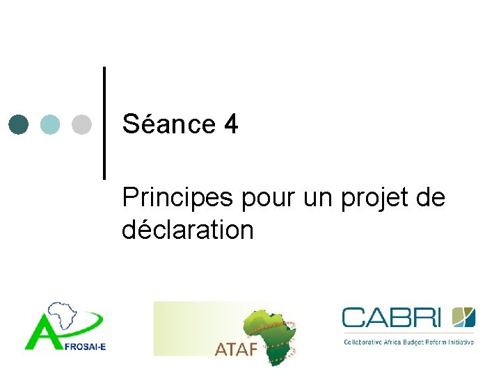 Séance 4 Principes pour un projet de déclaration 