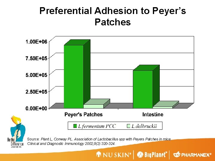 Preferential Adhesion to Peyer’s Patches Source: Plant L, Conway PL. Association of Lactobacillus spp