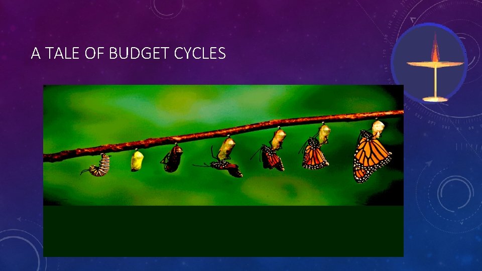 A TALE OF BUDGET CYCLES 