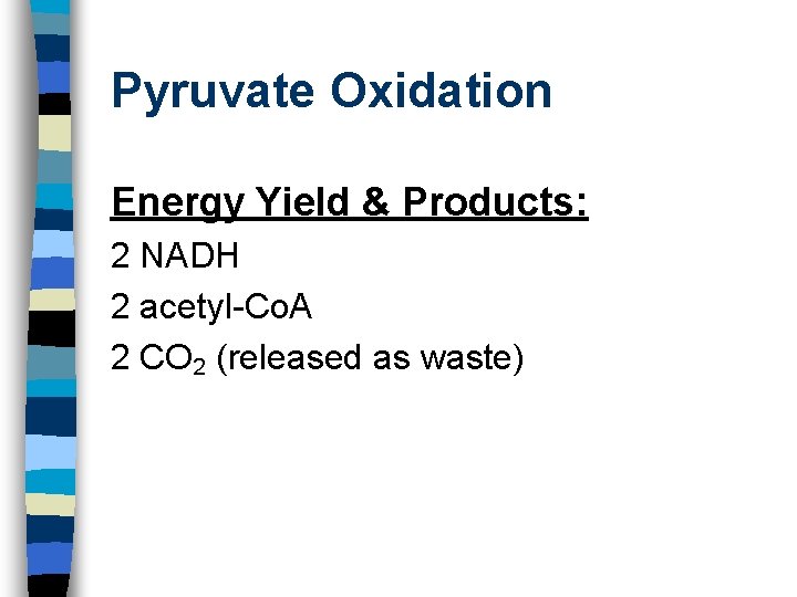 Pyruvate Oxidation Energy Yield & Products: 2 NADH 2 acetyl-Co. A 2 CO 2