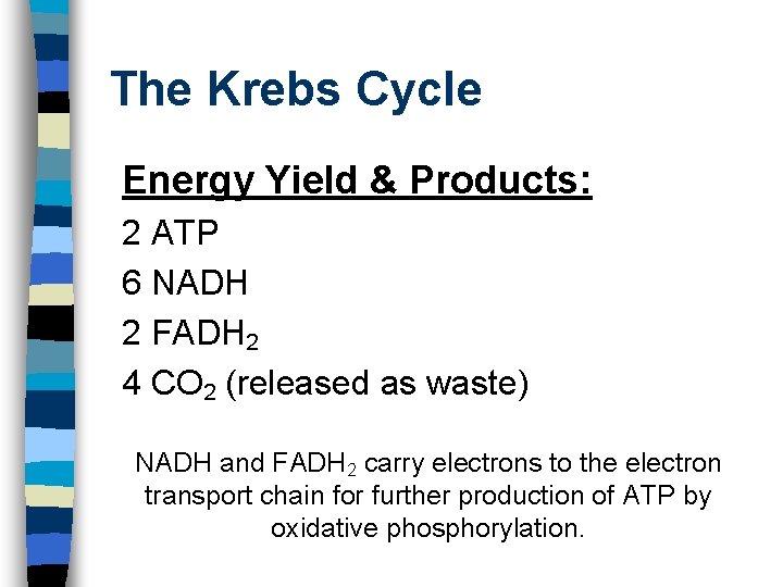 The Krebs Cycle Energy Yield & Products: 2 ATP 6 NADH 2 FADH 2