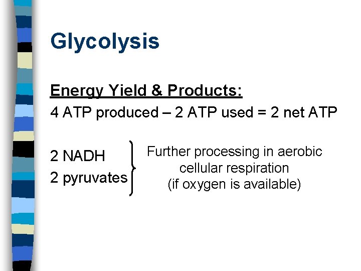 Glycolysis Energy Yield & Products: 4 ATP produced – 2 ATP used = 2