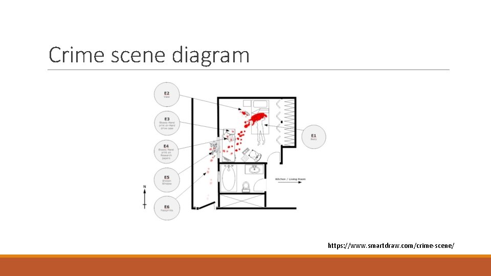 Crime scene diagram https: //www. smartdraw. com/crime-scene/ 