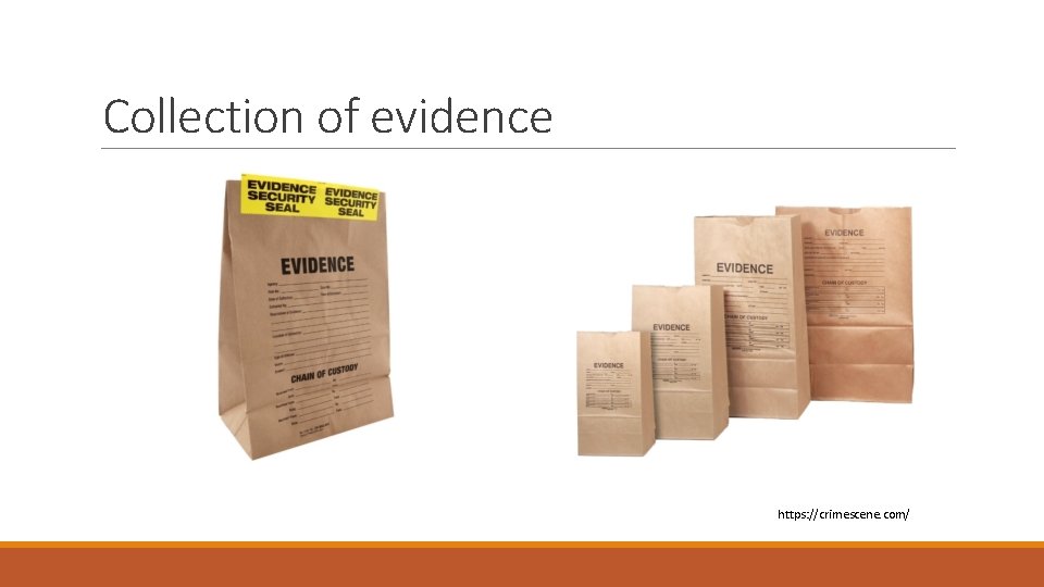 Collection of evidence https: //crimescene. com/ 