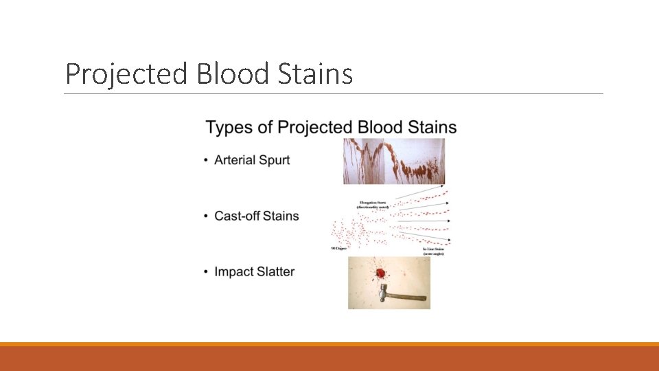 Projected Blood Stains 