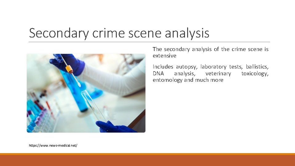 Secondary crime scene analysis The secondary analysis of the crime scene is extensive Includes