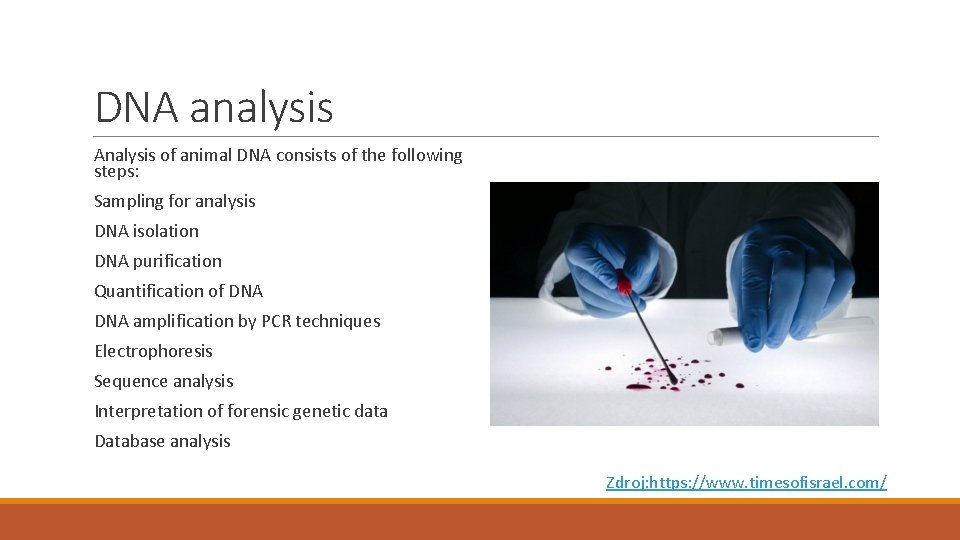 DNA analysis Analysis of animal DNA consists of the following steps: Sampling for analysis
