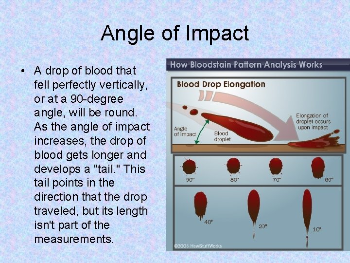 Angle of Impact • A drop of blood that fell perfectly vertically, or at