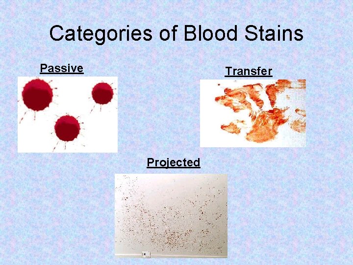 Categories of Blood Stains Passive Transfer Projected 