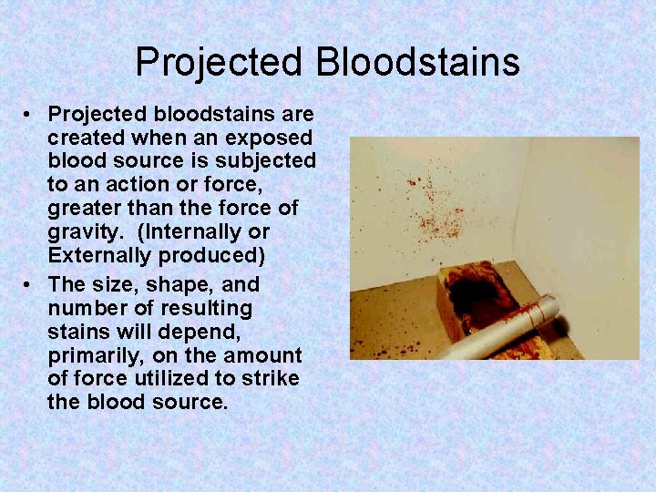 Projected Bloodstains • Projected bloodstains are created when an exposed blood source is subjected