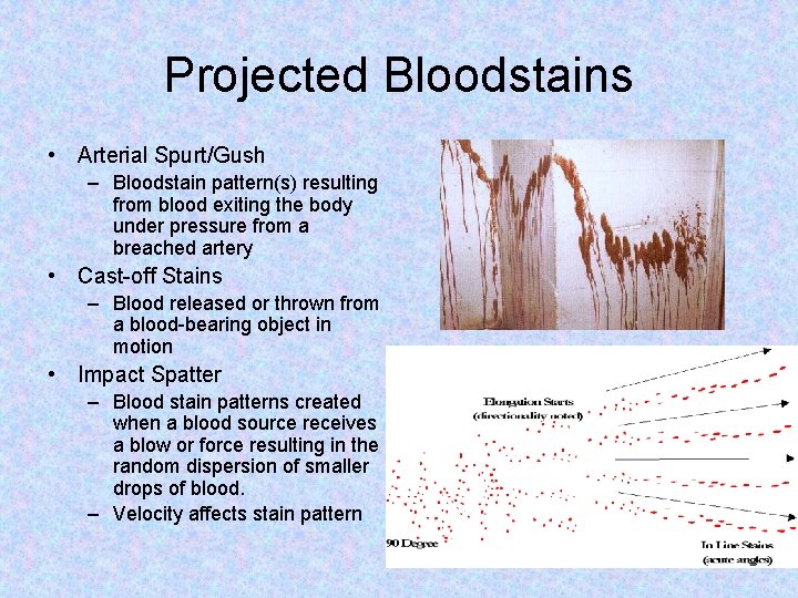 Projected Bloodstains • Arterial Spurt/Gush – Bloodstain pattern(s) resulting from blood exiting the body