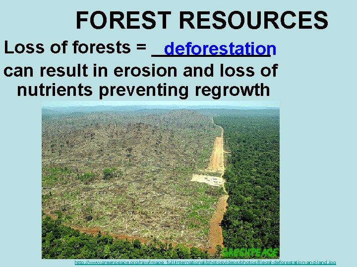 FOREST RESOURCES Loss of forests = ______ deforestation can result in erosion and loss