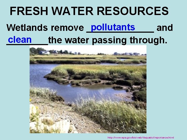 FRESH WATER RESOURCES pollutants Wetlands remove _______ and clean ____the water passing through. http: