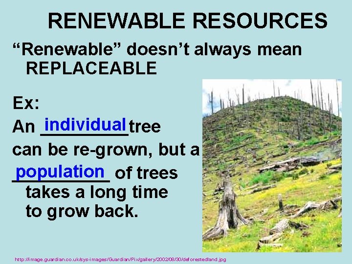 RENEWABLE RESOURCES “Renewable” doesn’t always mean REPLACEABLE Ex: individual An _____tree can be re-grown,