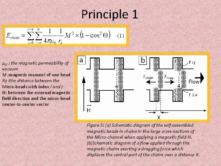 Principle 1 μ 0` : the magnetic permeability of vacuum M : magnetic moment