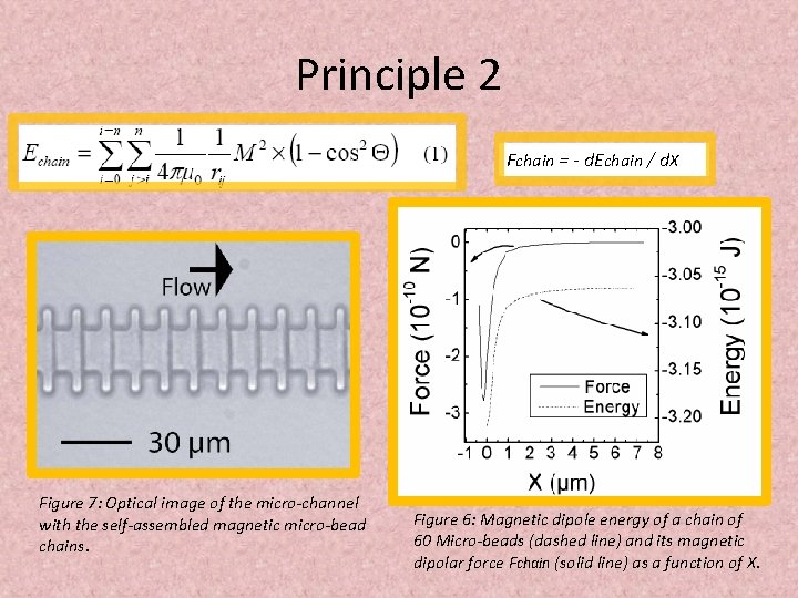 Principle 2 Fchain = - d. Echain / d. X Figure 7: Optical image