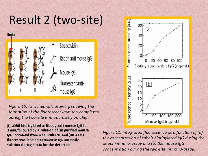 Result 2 (two-site) 3 min Figure 10: (a) Schematic drawing showing the formation of