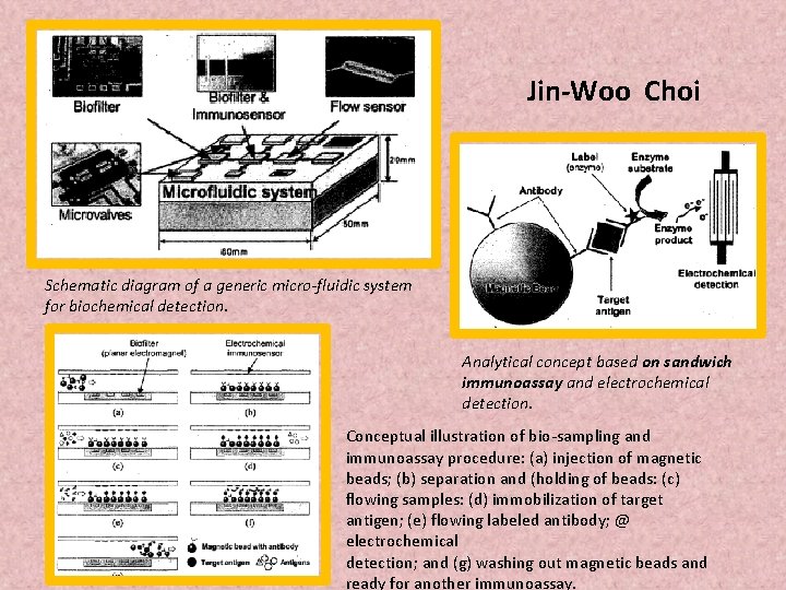 Jin-Woo Choi Schematic diagram of a generic micro-fluidic system for biochemical detection. Analytical concept