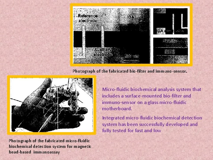 Photograph of the fabricated bio-filter and immuno-sensor. Micro-fluidic biochemical analysis system that includes a