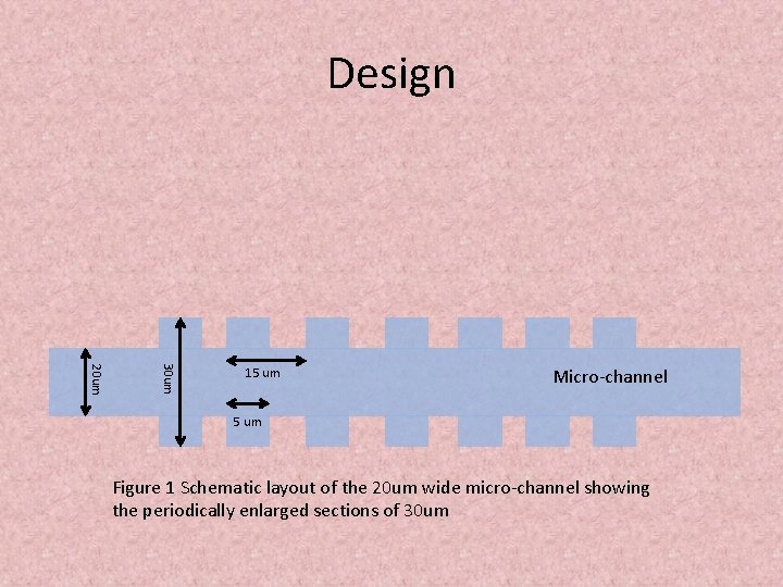 Design 30 um 20 um 15 um Micro-channel 5 um Figure 1 Schematic layout
