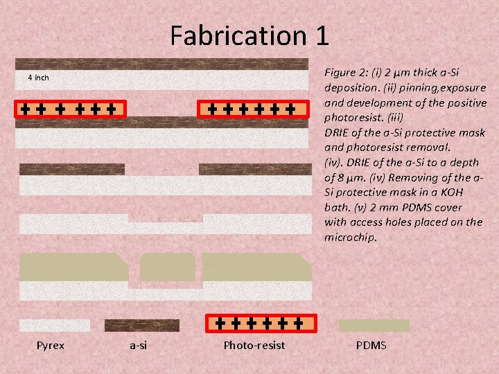 Fabrication 1 Figure 2: (i) 2 μm thick a-Si deposition. (ii) pinning, exposure and