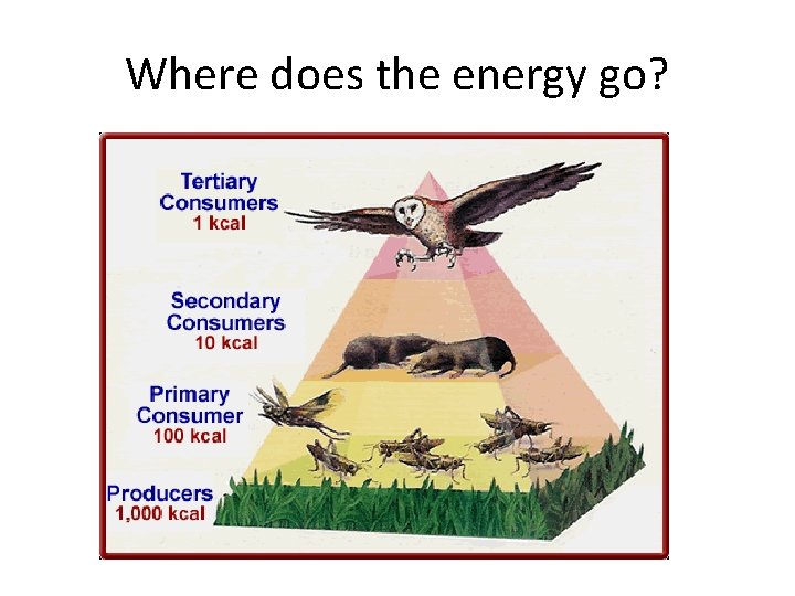 Where does the energy go? 