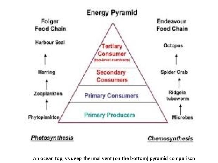 An ocean top, vs deep thermal vent (on the bottom) pyramid comparison 
