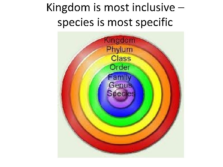 Kingdom is most inclusive – species is most specific 