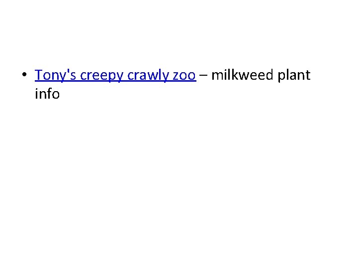  • Tony's creepy crawly zoo – milkweed plant info 