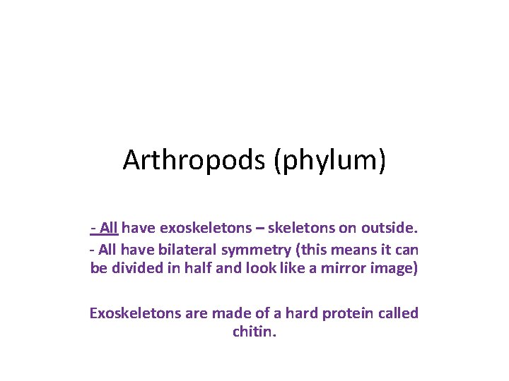 Arthropods (phylum) - All have exoskeletons – skeletons on outside. - All have bilateral