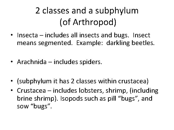 2 classes and a subphylum (of Arthropod) • Insecta – includes all insects and