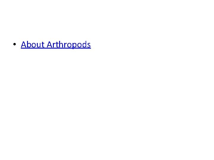  • About Arthropods 