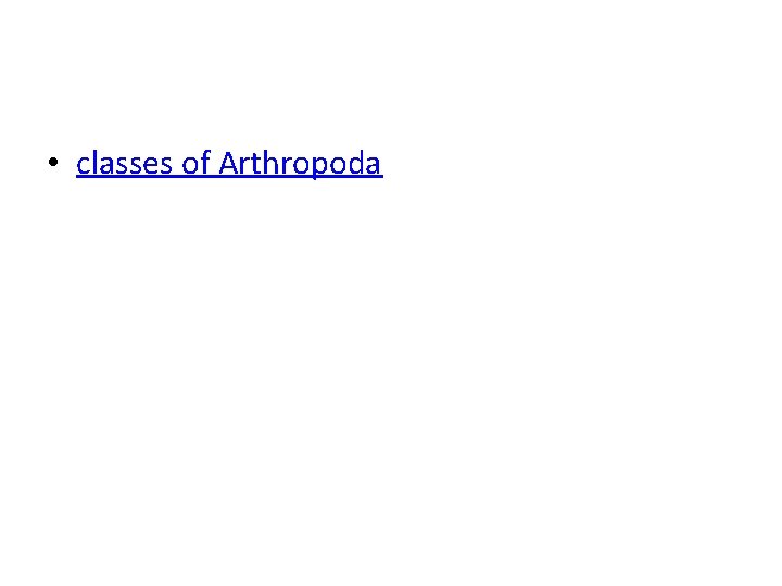  • classes of Arthropoda 