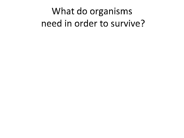 What do organisms need in order to survive? 