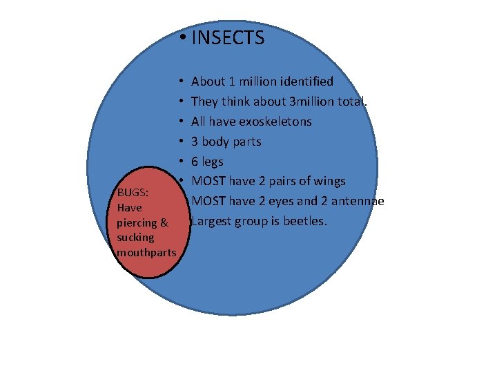  • INSECTS • • • BUGS: • Have piercing & • sucking mouthparts