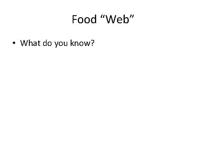 Food “Web” • What do you know? 