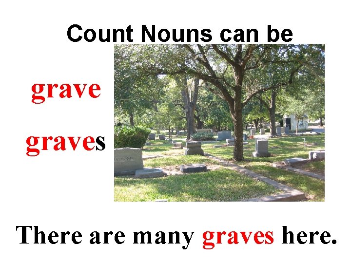 Count Nouns can be counted. graves There are many graves here. 