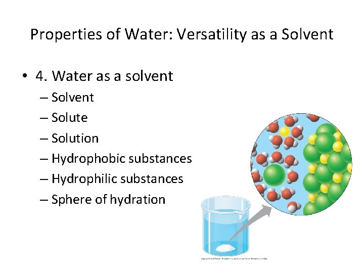 Properties of Water: Versatility as a Solvent • 4. Water as a solvent –