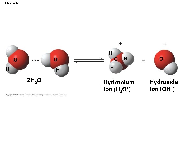 Fig. 3 -UN 2 H O H 2 H 2 O H H Hydronium