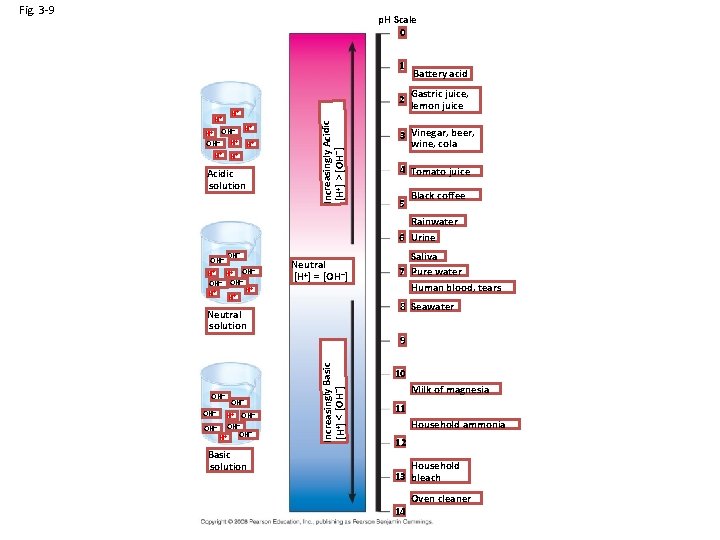 Fig. 3 -9 p. H Scale 0 1 Gastric juice, 2 lemon juice H+
