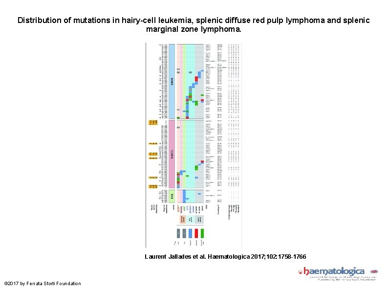 Distribution of mutations in hairy-cell leukemia, splenic diffuse red pulp lymphoma and splenic marginal