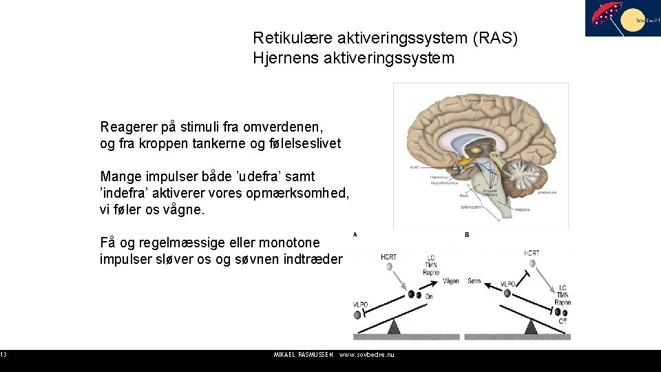 13 Retikulære aktiveringssystem (RAS) Hjernens aktiveringssystem Reagerer på stimuli fra omverdenen, og fra kroppen