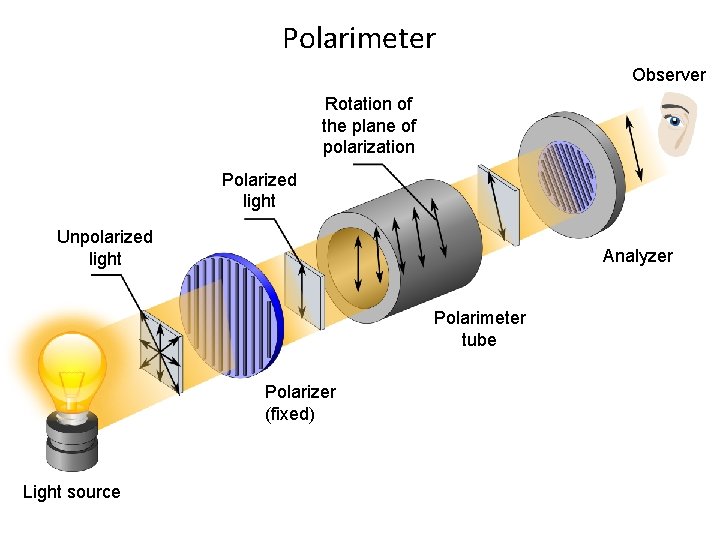 Polarimeter Observer Rotation of the plane of polarization Polarized light Unpolarized light Analyzer Polarimeter