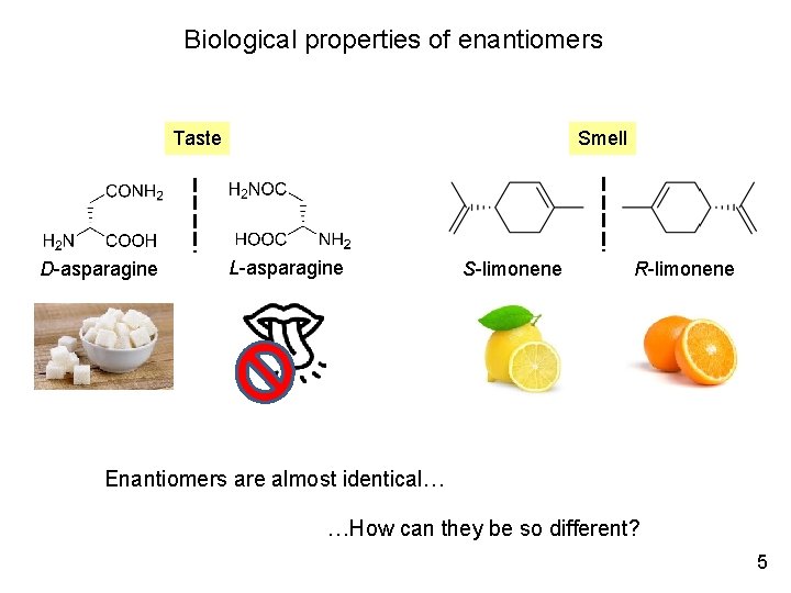Biological properties of enantiomers Taste D-asparagine Smell L-asparagine S-limonene R-limonene Enantiomers are almost identical…