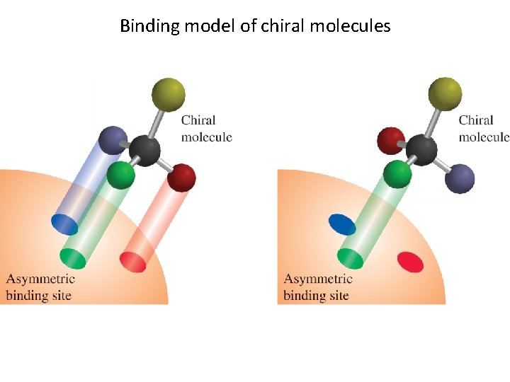 Binding model of chiral molecules 